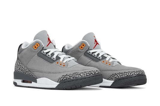 Jordan 3 Retro Cool Grey 2021 Sneakers - Collector's Edition